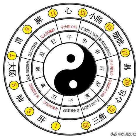 兩儀八卦圖|孔子太極生兩儀四象八卦圖 